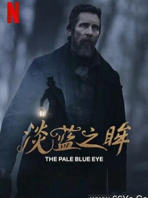 影视作品